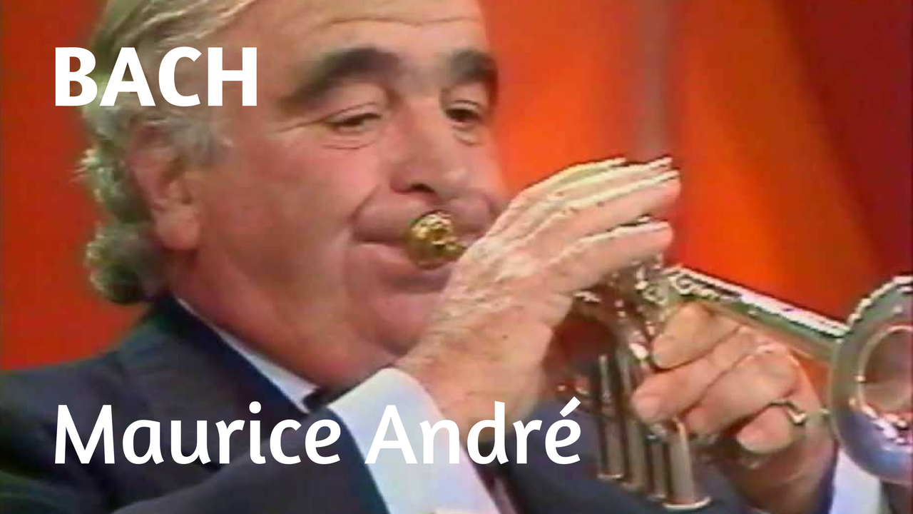 Maurice Andr